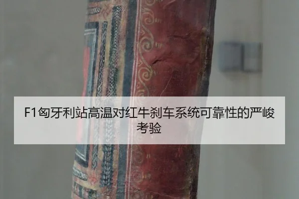 xiong-ya-li-zhan-gao-wen-dui-hong-niu-sha-che-xi-tong-ke-kao-xing-de-yan-jun-kao-yan-2-208.jpg